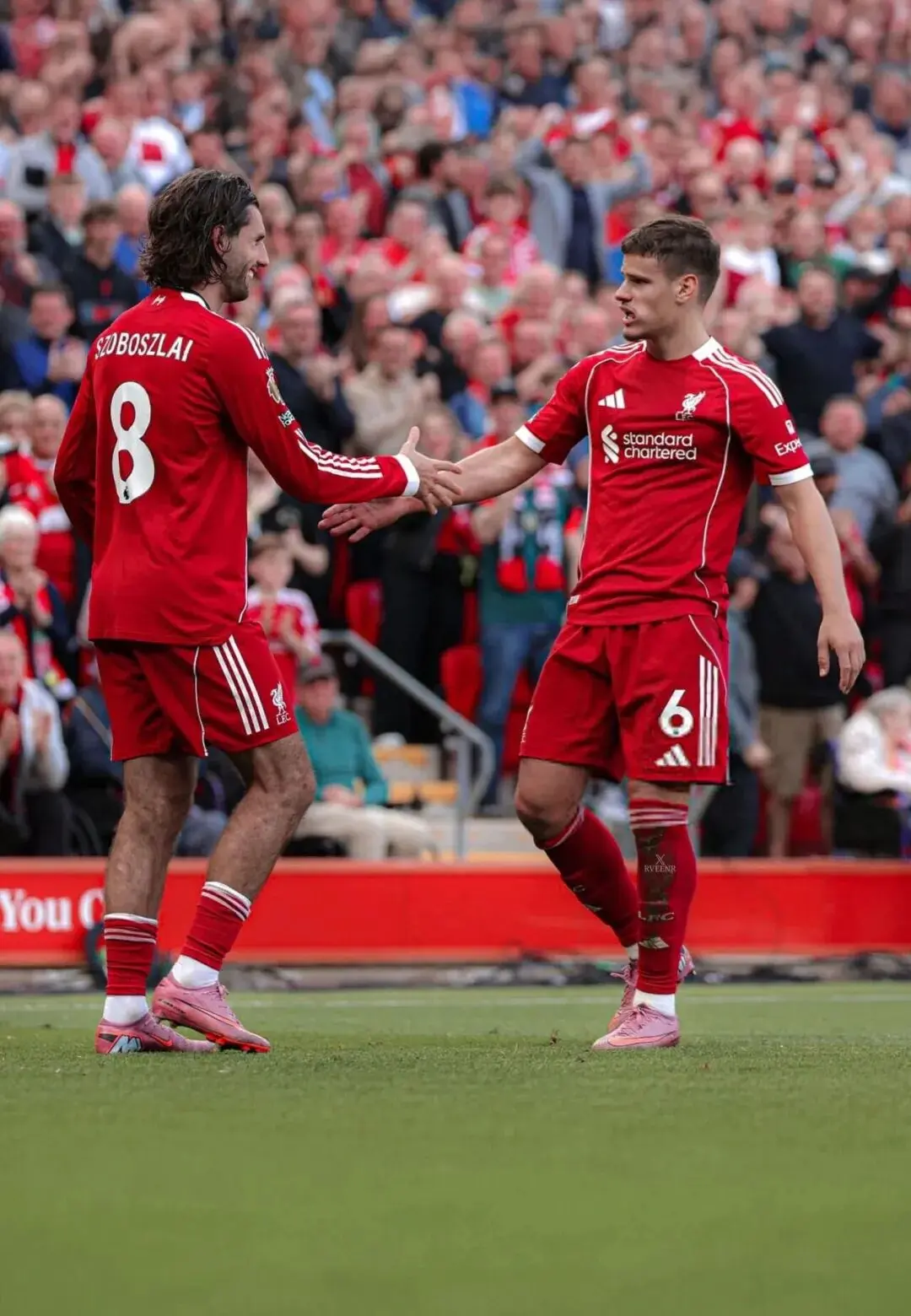 兹同样闪耀 兹同样闪耀