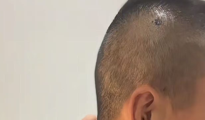 tQZy, 回中国做进 tQZy, 回中国做进