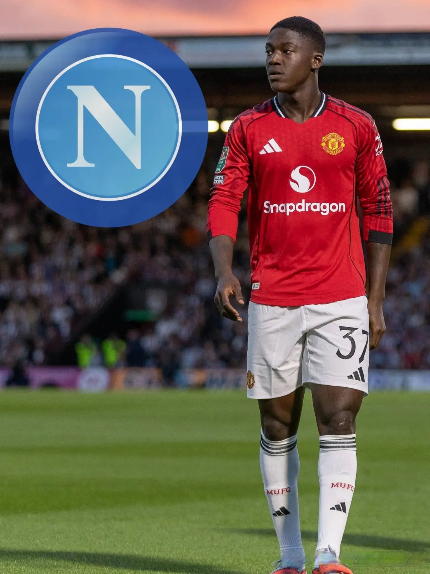 曼联中场新 曼联中场新